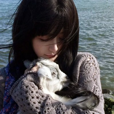 米老鼠之猎犬